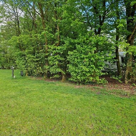 Camping Alkenhaer Appelscha Lege Kampeerplaats Kültér fotó