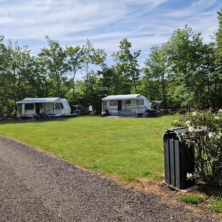 Camping Alkenhaer Appelscha Lege Kampeerplaats Kültér fotó