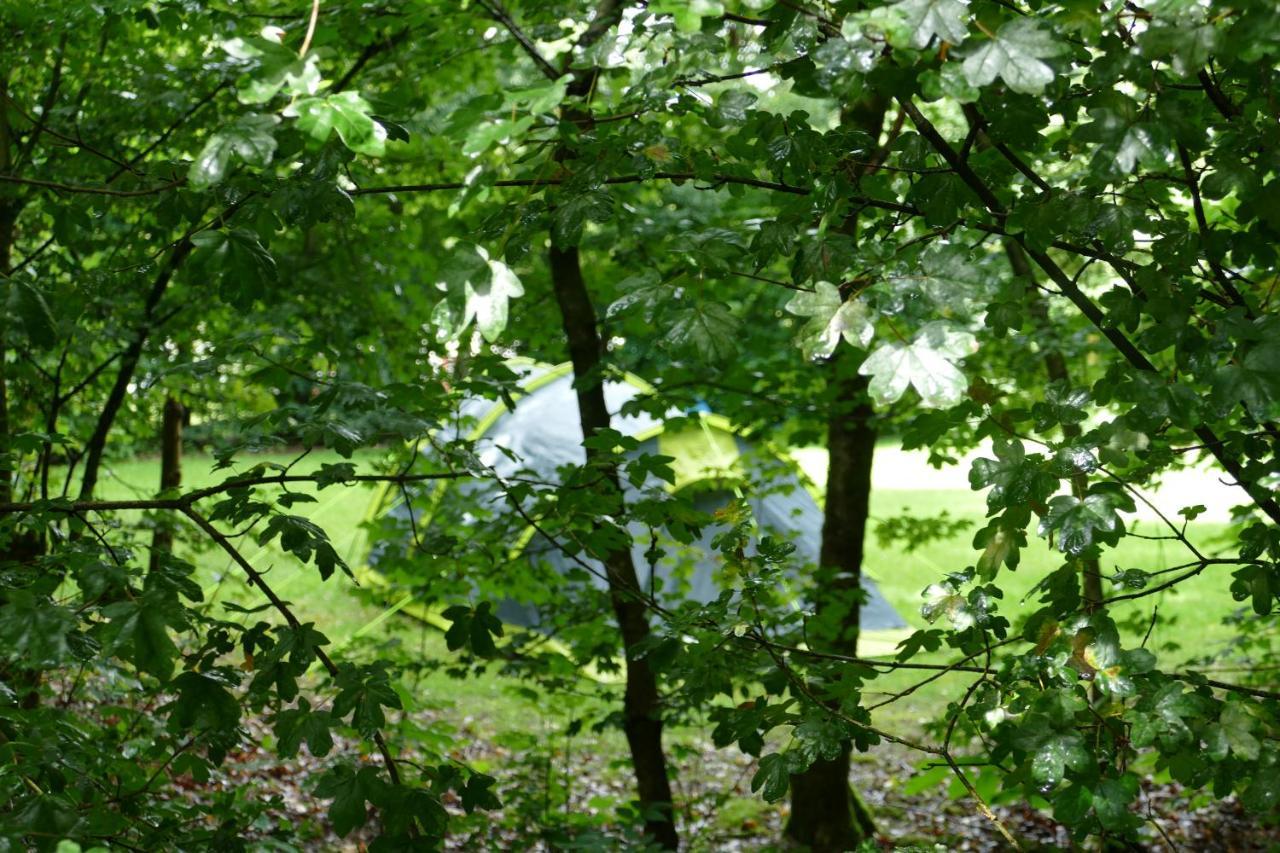 Camping Alkenhaer Appelscha Lege Kampeerplaats Kültér fotó