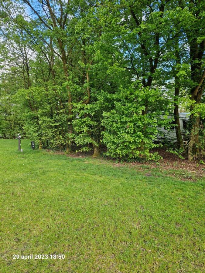 Camping Alkenhaer Appelscha Lege Kampeerplaats Kültér fotó